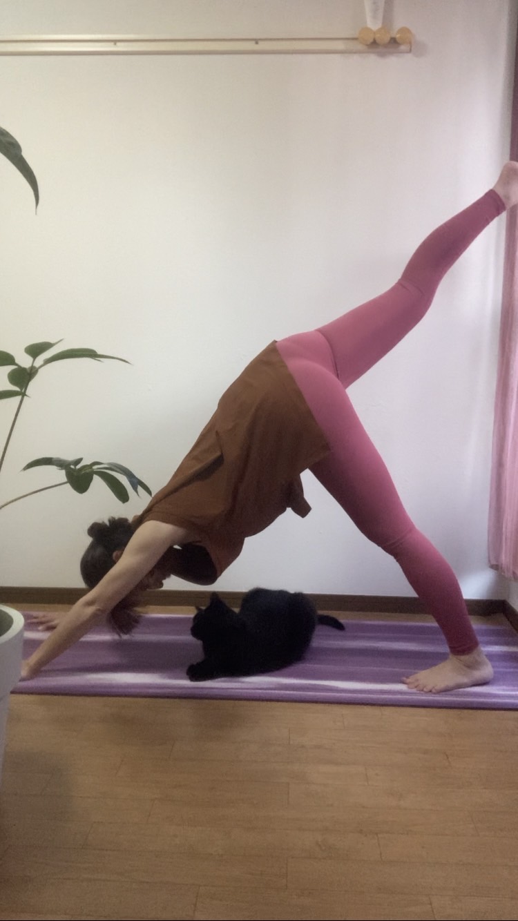 心と身体に優しい リフレッシュヨガ