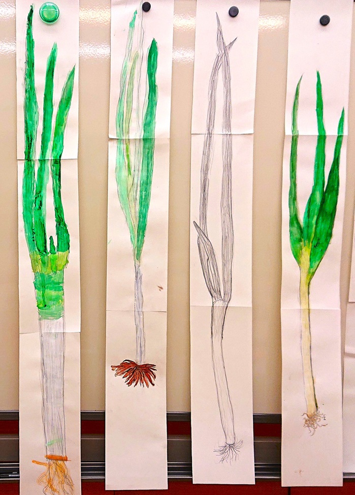 自由に楽しく ★絵画造形教室 小学3年生まで