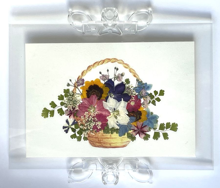 自然の恵みをアートに～ 季節の押し花アート