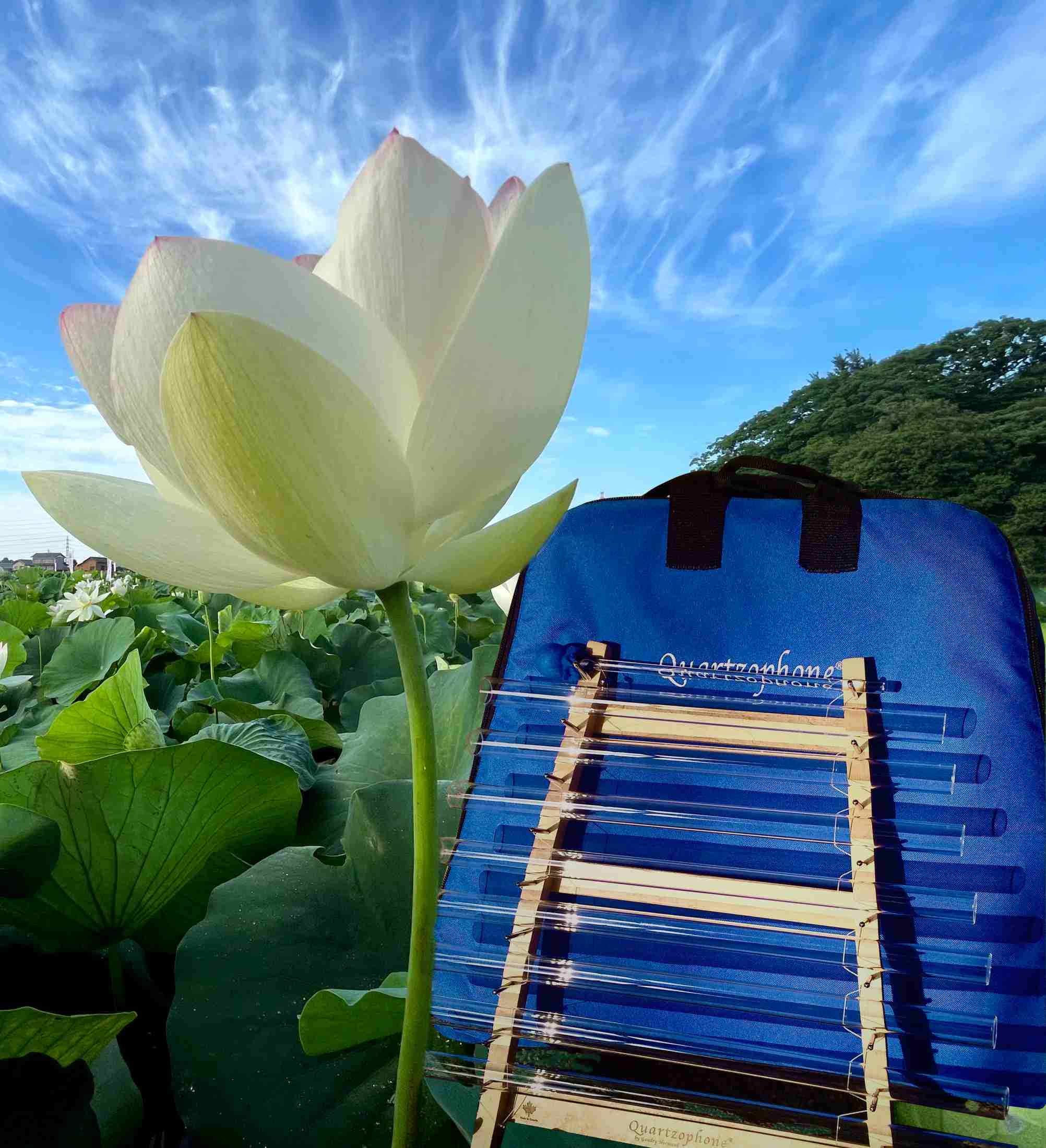 12/25ゆったりクォーツォフォン