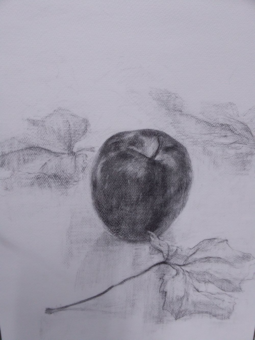 観察力や表現力を高める 基礎からの鉛筆デッサン