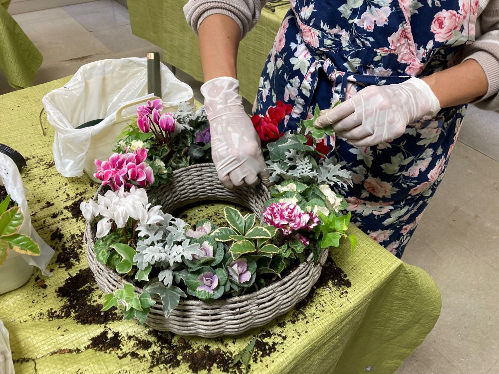 ステップアップハンギング ハンギングバスケット 上級