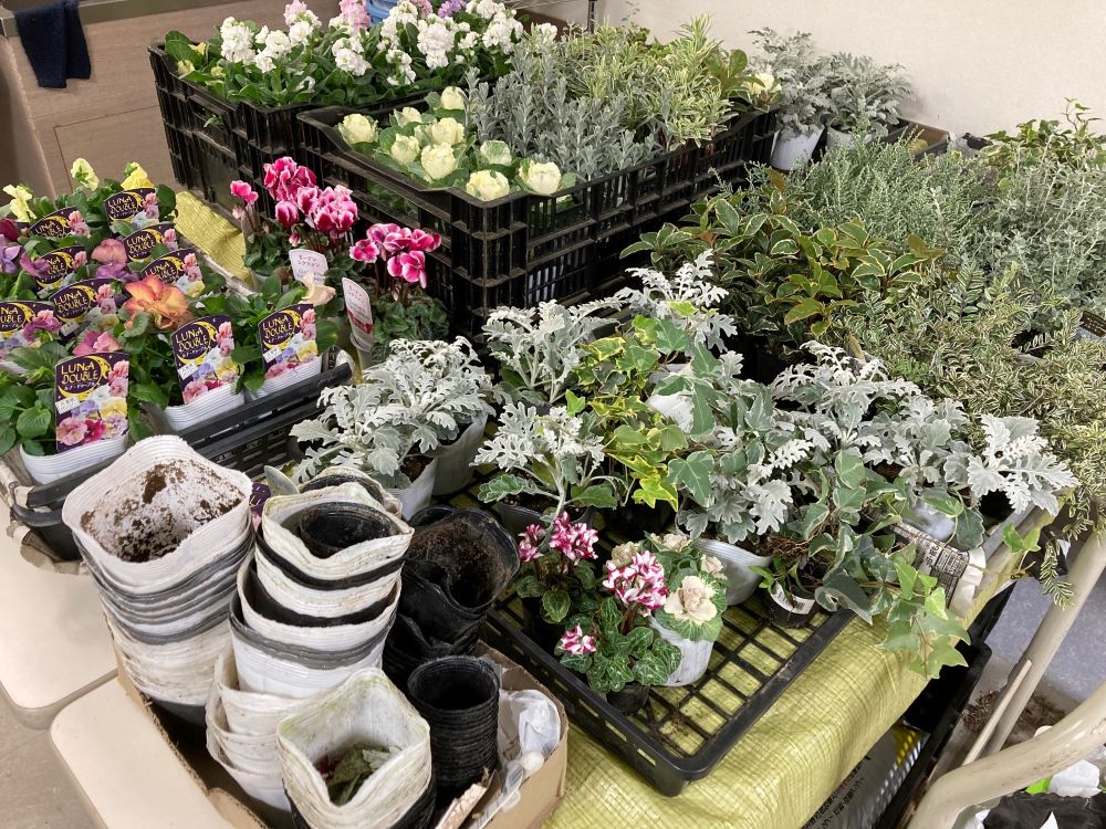 ステップアップハンギング ハンギングバスケット 上級