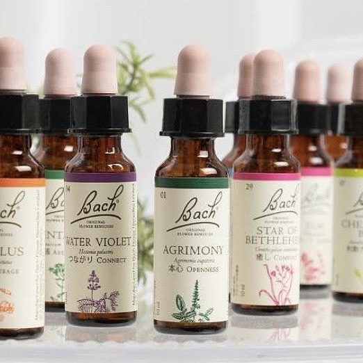 心を癒し自分を満たすセルフケア (全3回)お花とアロマで癒しの時間 新春の新講座 2/23・3/23・4/27(月)