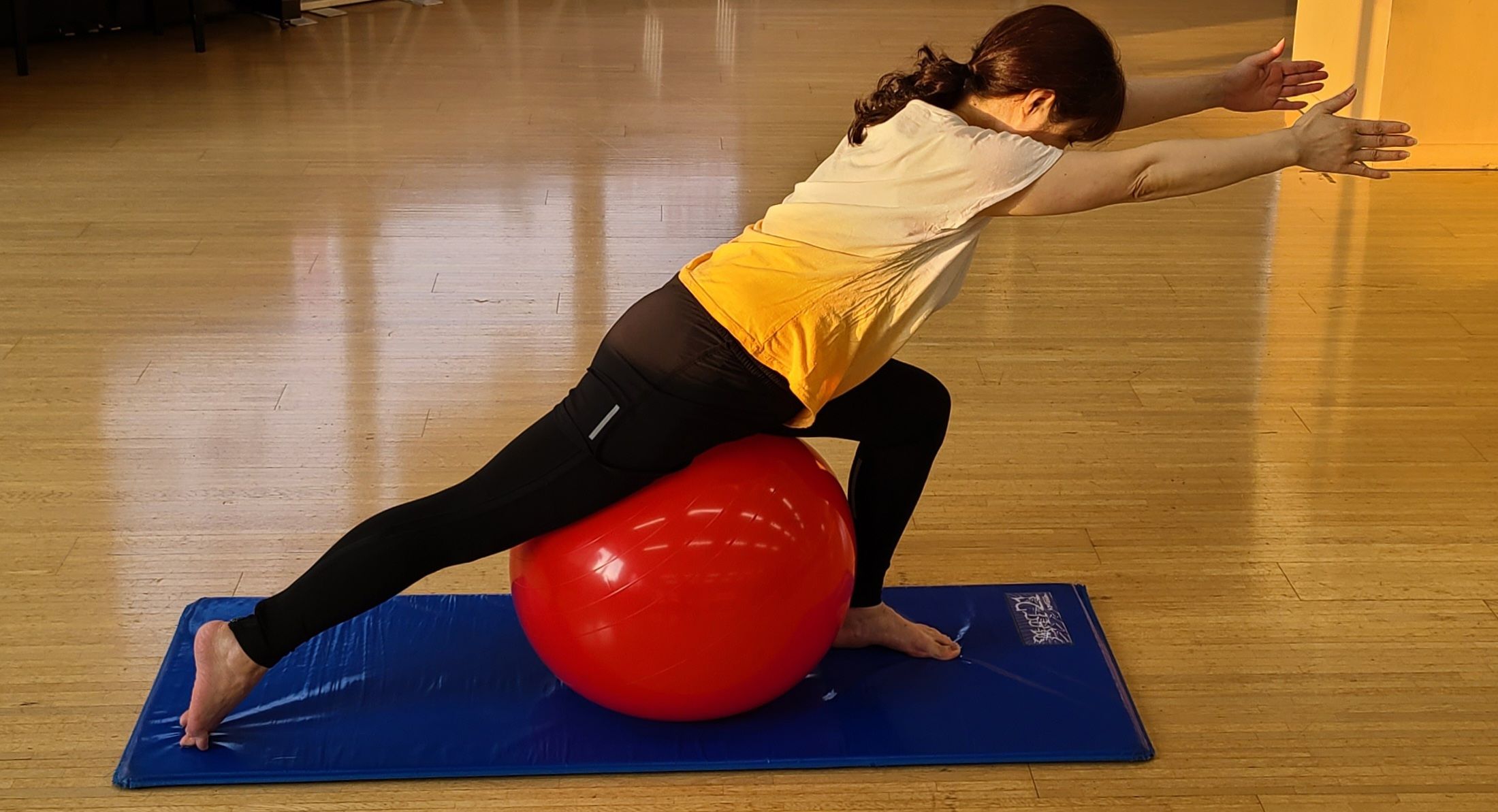 座って弾んで若返り はじめてのバランスボール HP限定講座