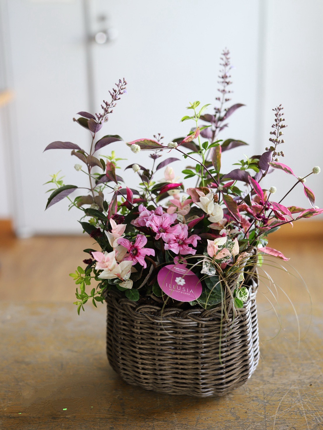 根付のフラワーアレンジメント 初めての寄せ植え 【一日体験】1/25(日)