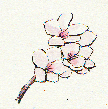 花暦(月ごとの花)を描く 一筆画入門講座