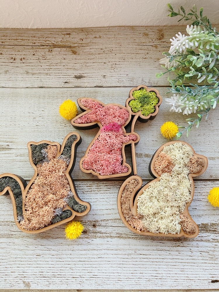 お手入れ不要のかわいい植物 モスアート(全6回) 新春の新講座 2/13(金)特別体験会