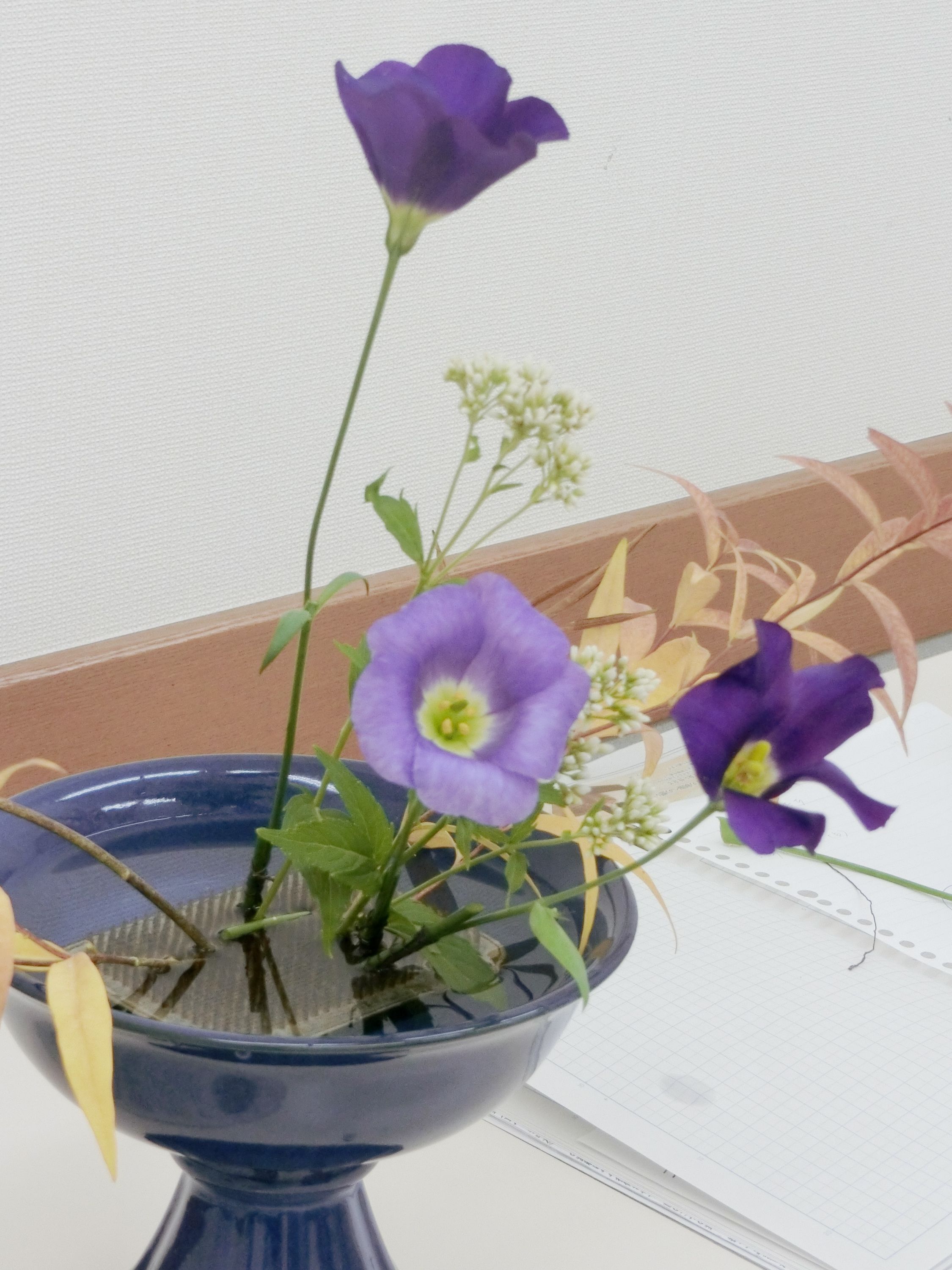 季節のお花を楽しむ こどもいけばな小原流 新春新講座 2/21 (土)特別体験会