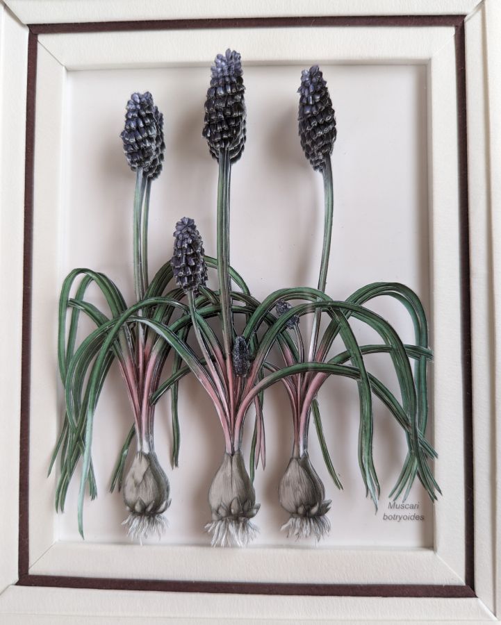 デコバージュの技法 シャドウボックス 新春新講座 2/3 (火)特別体験会