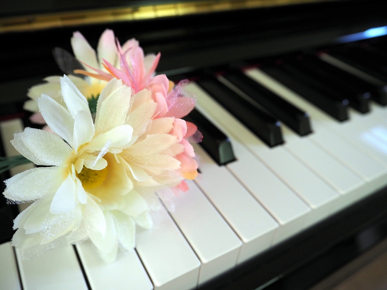 楽しく弾ける シニアいきいきピアノ講座 新春の新講座 2/7(土)一日体験