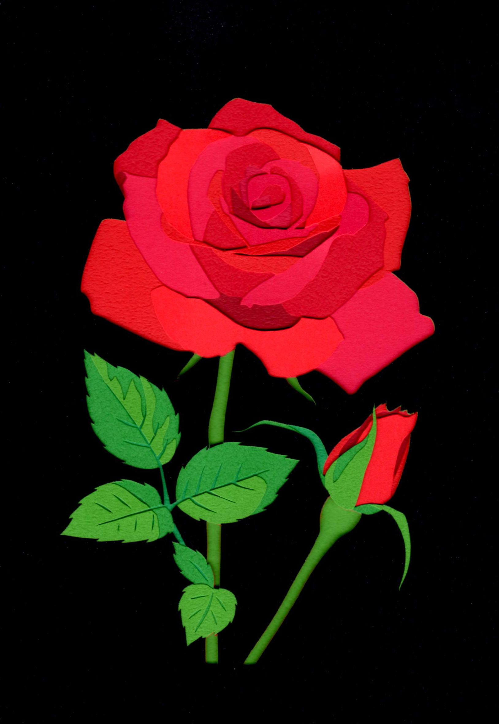 カラフル&立体感ある切り絵 彫紙アートを楽しもう