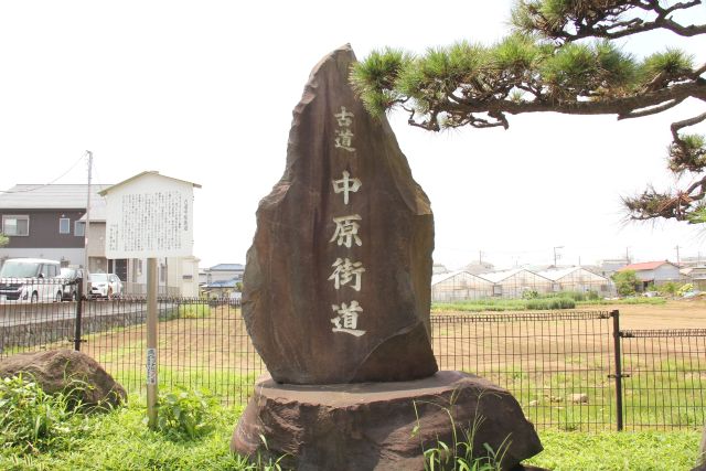 (全3回)街道に物語を読む ★中原街道を語る 新春新講座 2/15新講座体験会