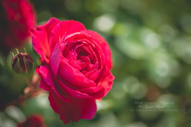 はじめてでも安心! ★写真を楽しむ 入門編 新春新講座 2/17新講座体験会