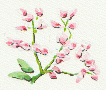 おたよりに添える 一筆画入門 花を描く