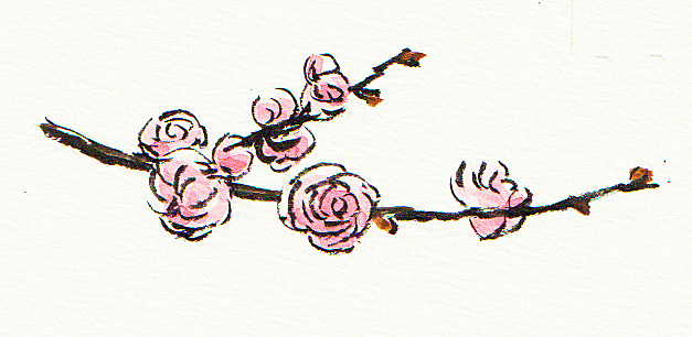 おたよりに添える 一筆画入門 花を描く