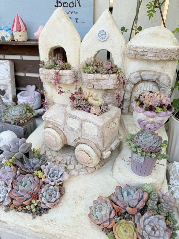 多肉のシーズン到来! 多肉植物の寄せ植え(全3回) 冬の新講座 2/10(火)スタート