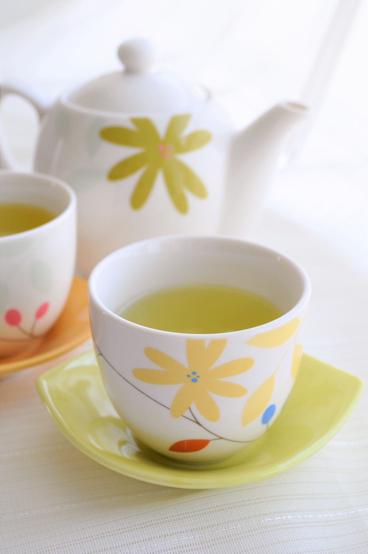 ますます美味しくなる お茶の秘密 《全2回》