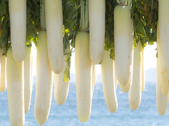 写真は楽しく撮りましょう 初めてのフォトレッスン(全4回) 【日程】2/12・2/27・3/12・3/27(木)