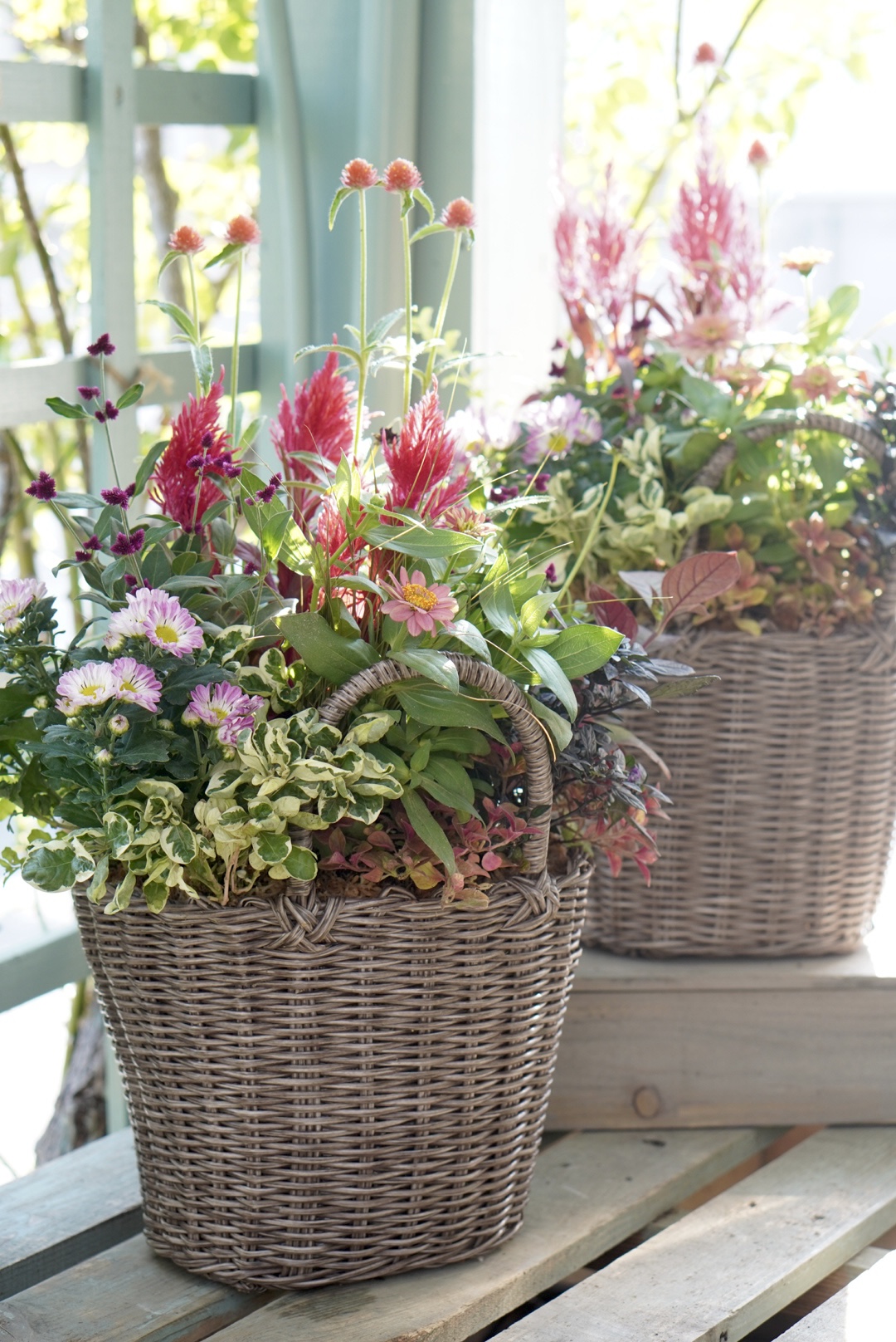 ～花束みたいな～ 寄せ植えギャザリング