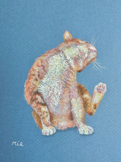 癒しのパステル画｜ヨークカルチャーセンター府中｜ふ・らり、府中市