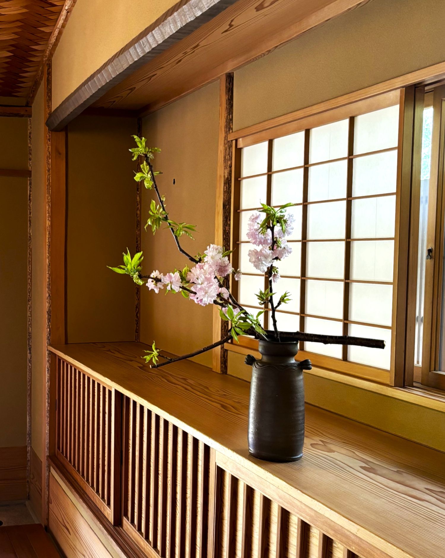 いけばな「私の花」 草月流 HP限定 新講座