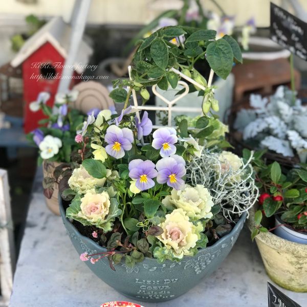 季節の寄せ植え