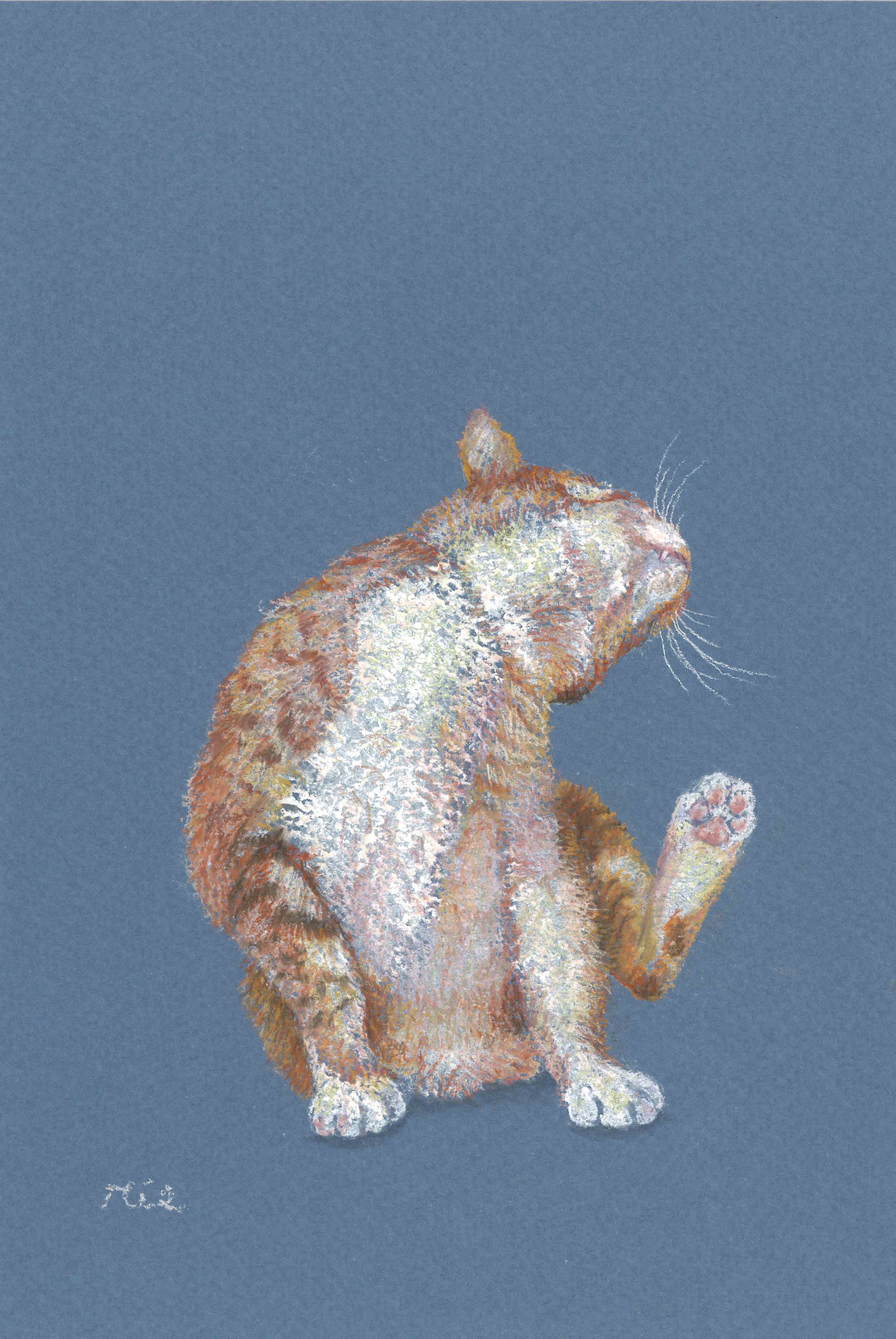 癒しのパステル画 新講座 1/23(金)特別体験会