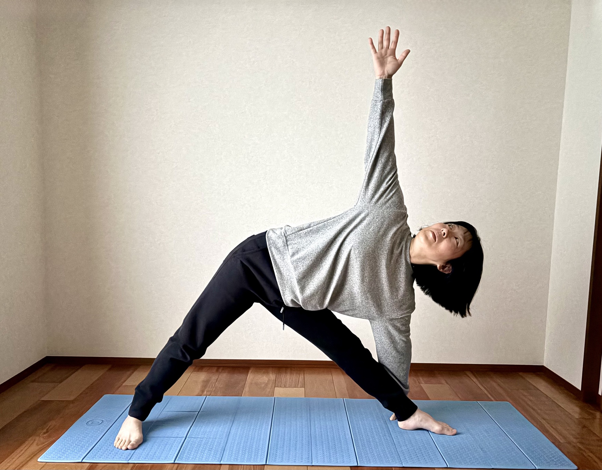 やさしく整うハタヨガ 新春号新講座 2/13(金)特別体験会