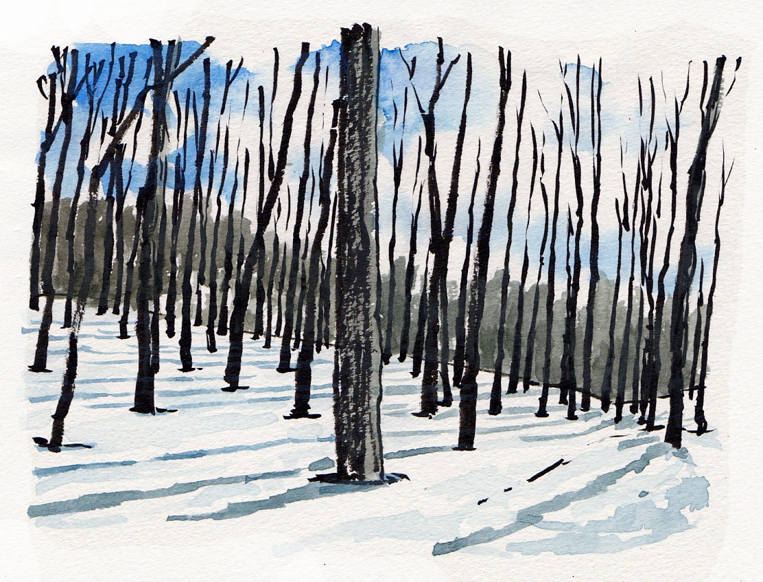 水彩スケッチ基礎の基礎 特別体験会2/14(土)開催!