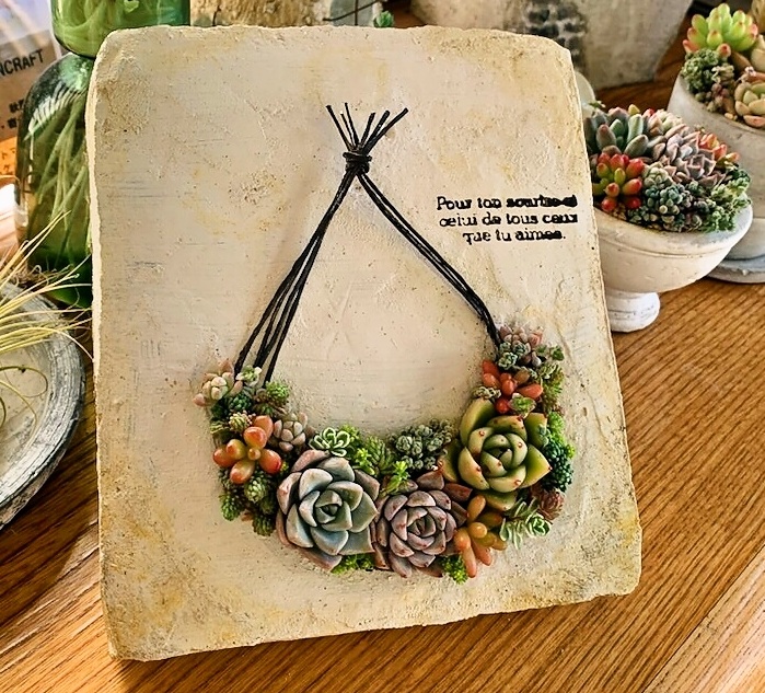 初心者の方も気軽に楽しく 多肉植物の寄せ植え(全3回) 新春の新講座 3/10(火)スタート