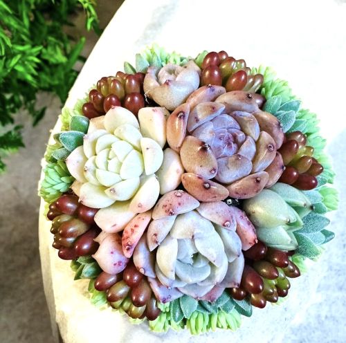 暮らしを彩る小さな幸せ 多肉植物の寄せ植え(全3回) 新春新講座