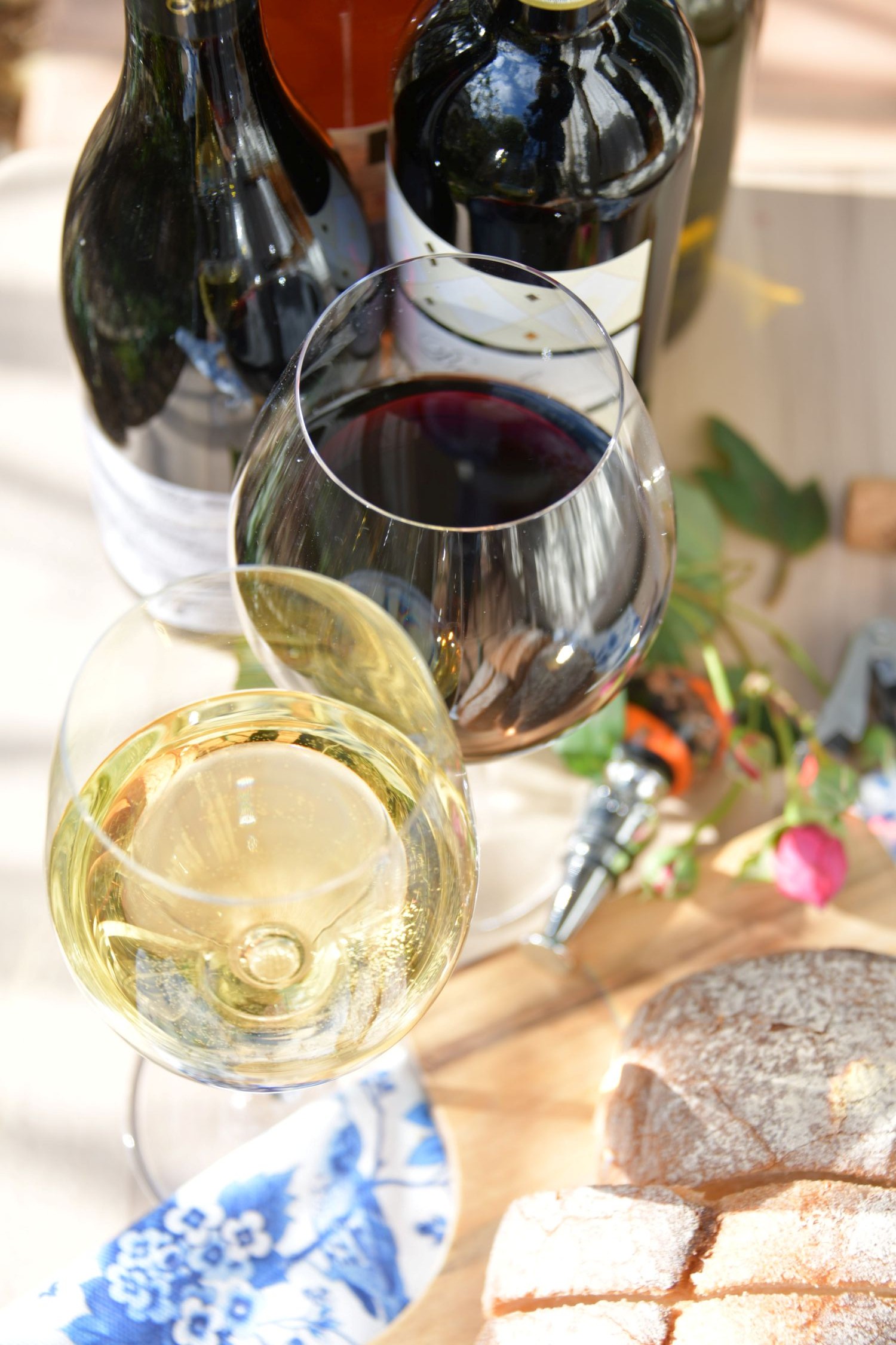 ～イタリア中南部・オーストリア・ポルトガルの銘醸地巡り～(全3回) 世界のワイン&テイスティング HP限定 新講座