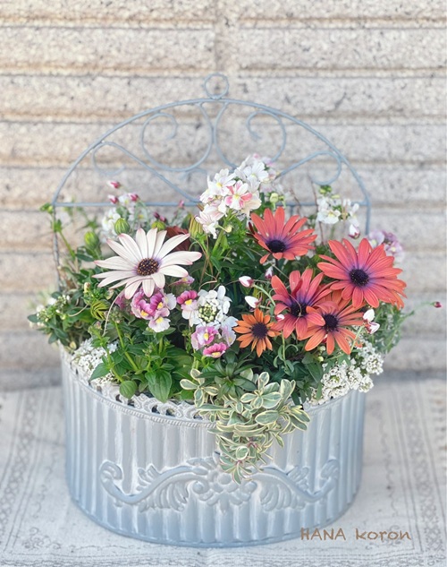 今人気の新しい園芸手法 寄せ植えギャザリングレッスン