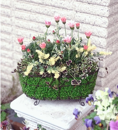 今人気の新しい園芸手法 寄せ植えギャザリングレッスン