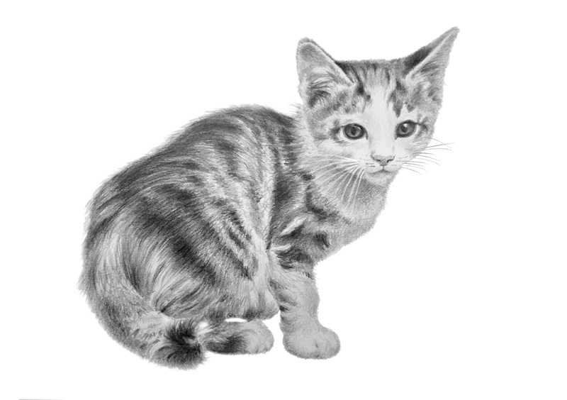 鉛筆1本で何でも描ける 鉛筆デッサン