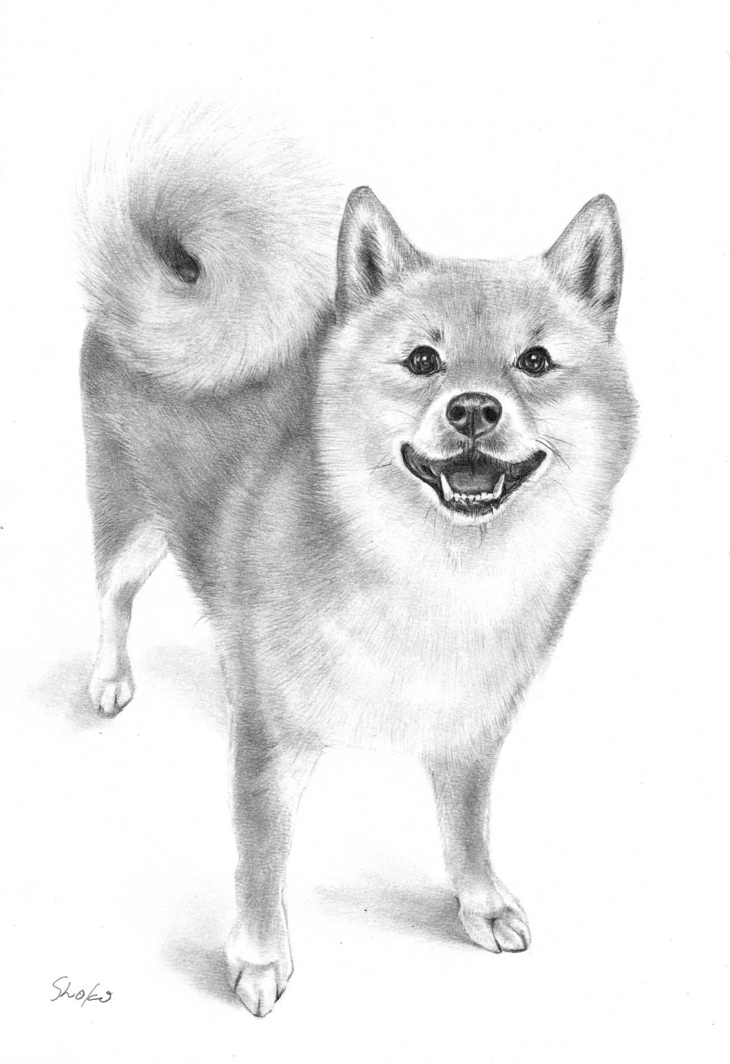 はじめて絵を描く方に やさしい鉛筆画 新春号リニューアル  特別体験会 2/19(木)