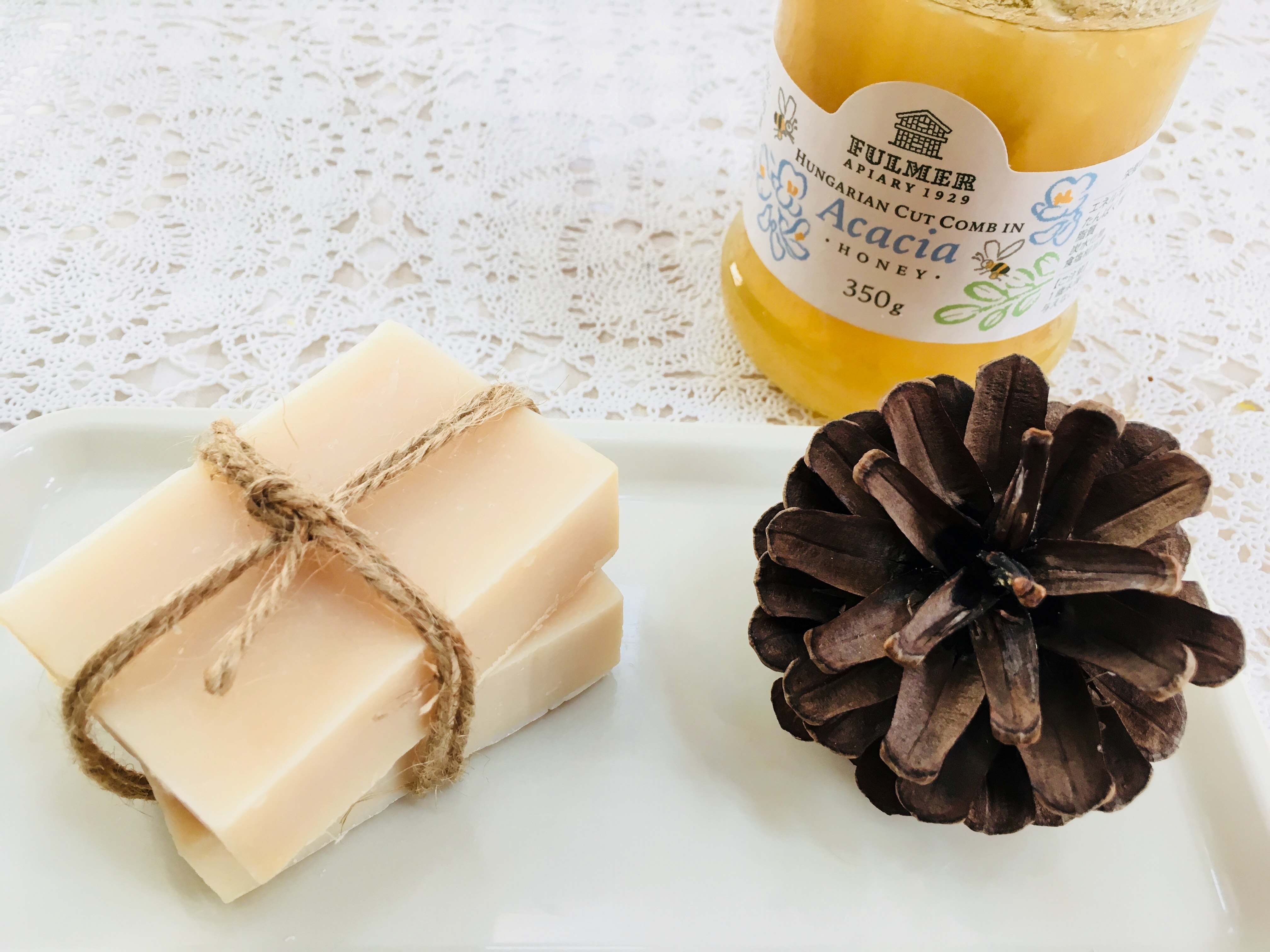 愛犬推し活♡家族丸ごと健康講座 (全4回)