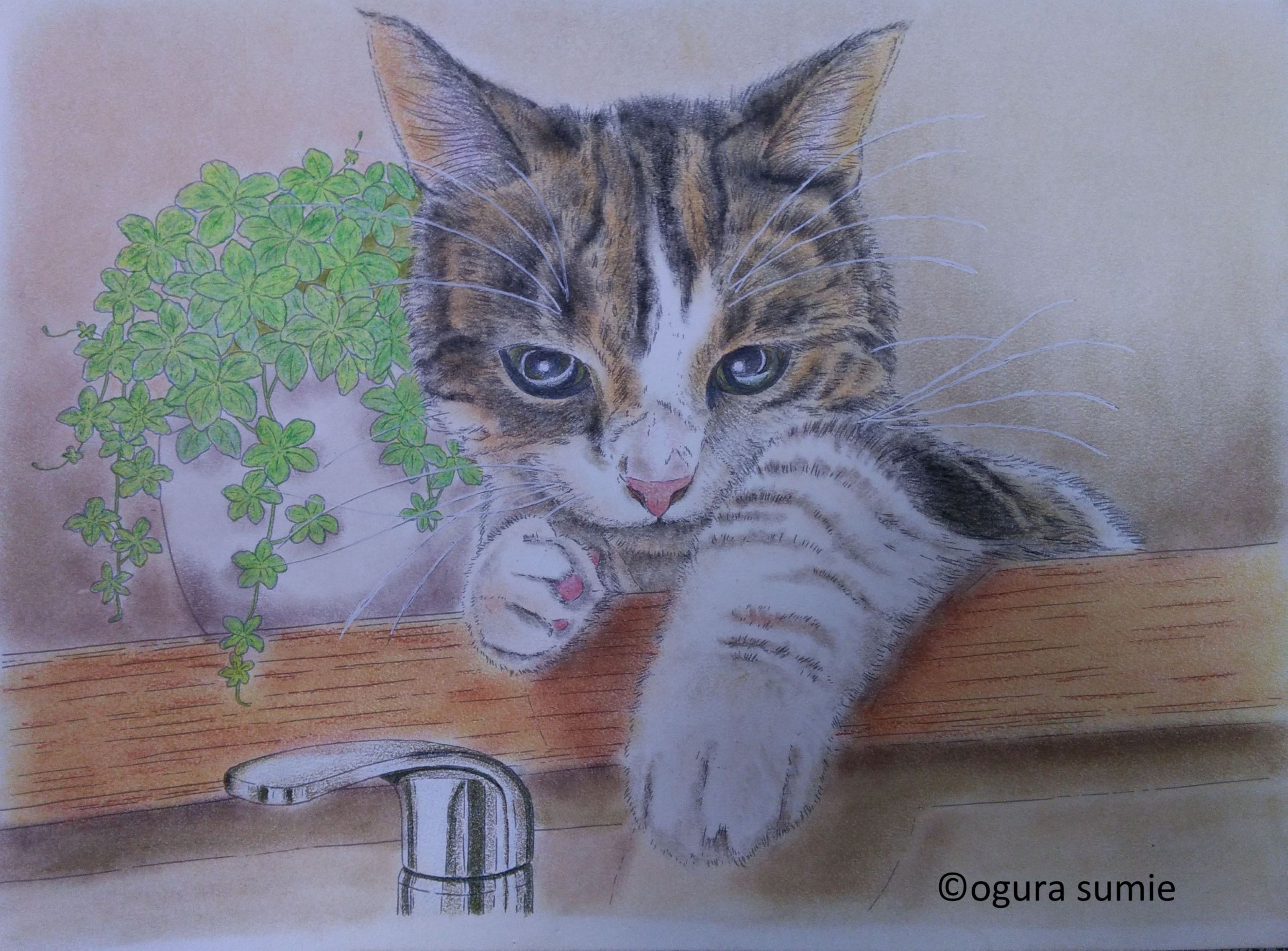 初めてでも楽しめる 大人の塗り絵