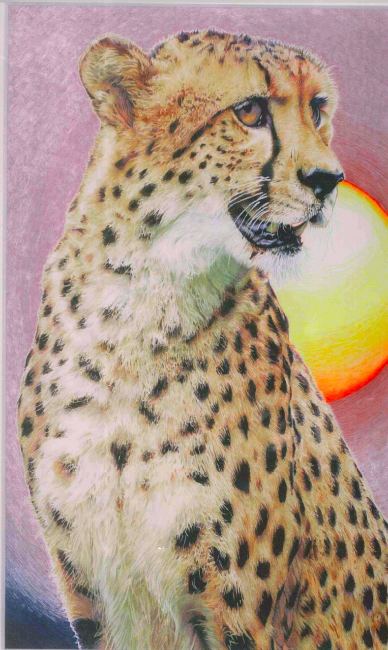 手軽に楽しく細密画 ボールペン画