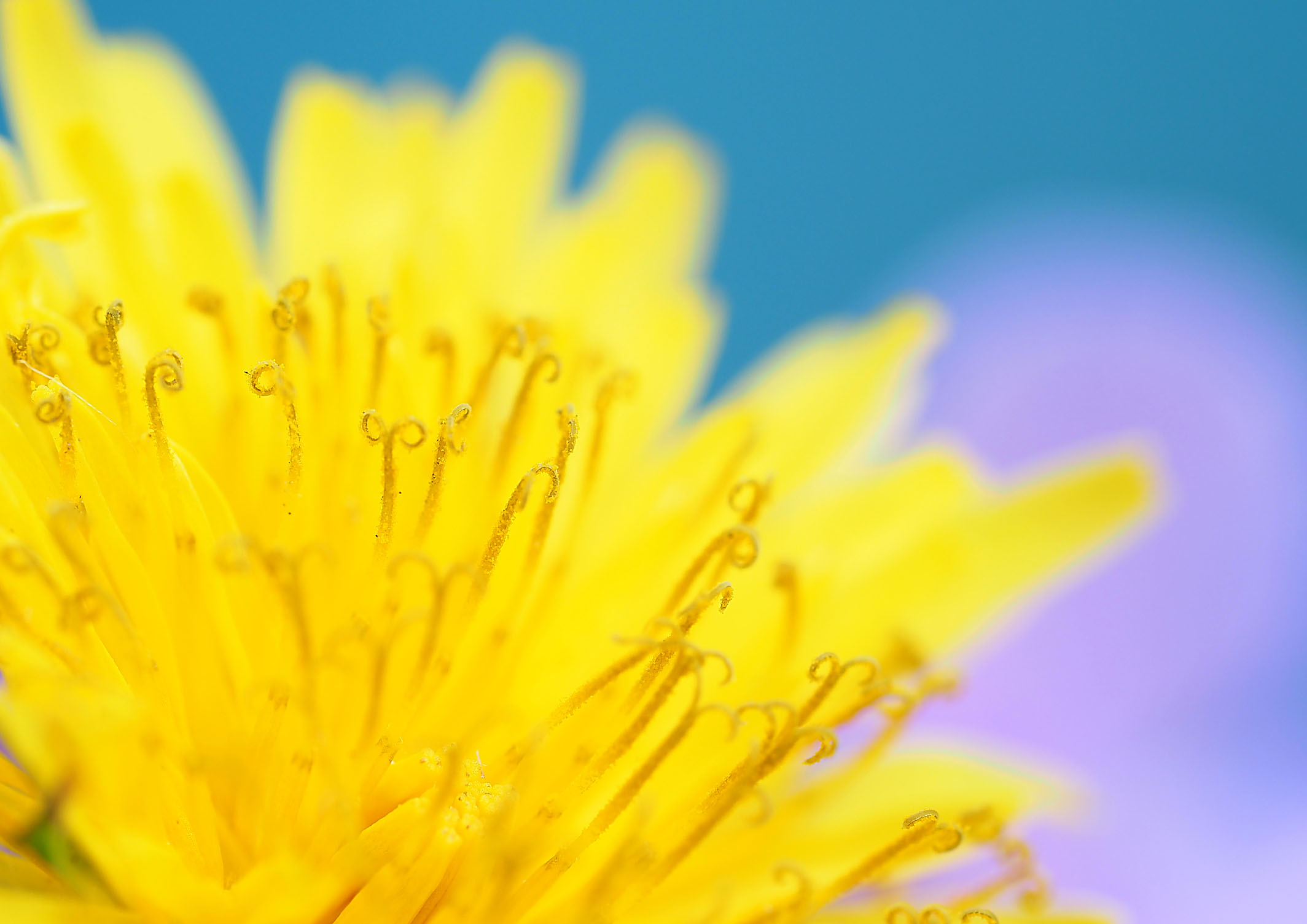 全12回 写真講座 新春の新講座 1/19(月)特別体験