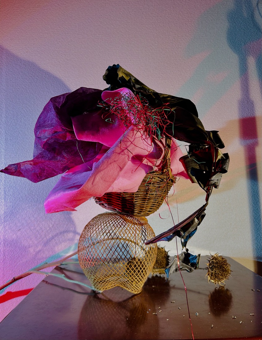 モダン植物アート 【新春の新講座】2/22(日)特別体験会