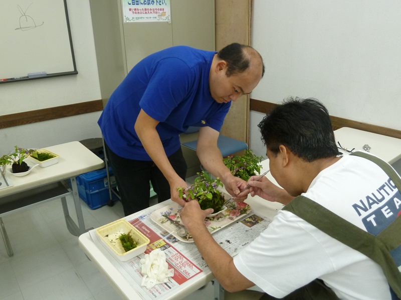 (3回講座) コケと山野草を楽しもう 日程2/24・3/31・4/28(火) 【受】8.250円 【運】825円 【教】11.550円