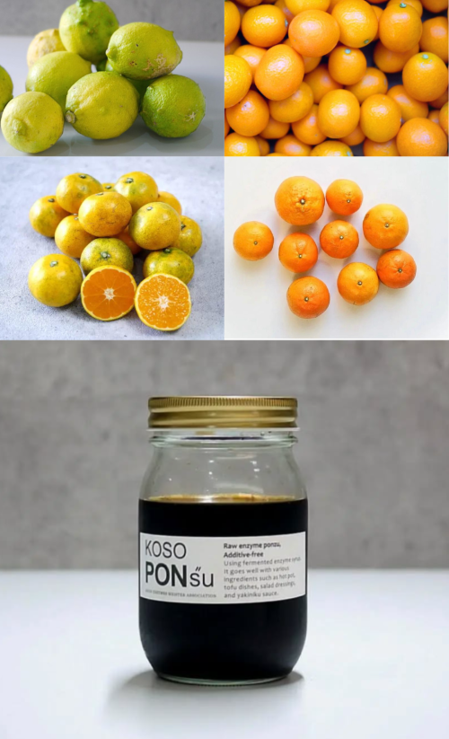 【新春の新講座スペシャル】 おいしく食べて腸活・美肌 「酵素で生ポン酢作り」 2/4(水)