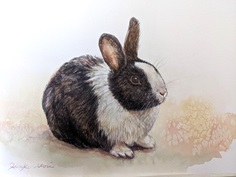 土曜クラス デッサン・色鉛筆・水彩画 中学生から大人