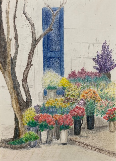 基礎からしっかり 色鉛筆画