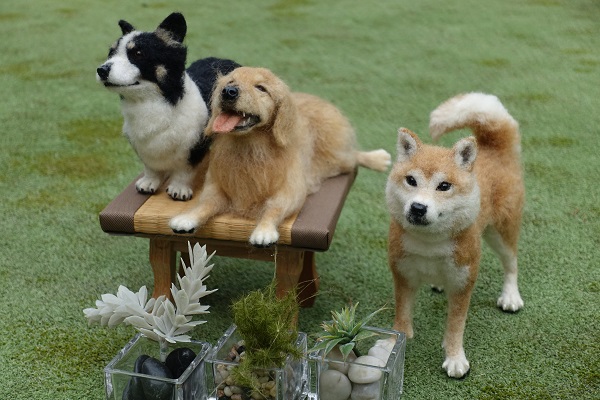 お部屋に飾れるペット 羊毛フェルトで作るかわいいペットたち 春の新講座 体験日5/26(火)