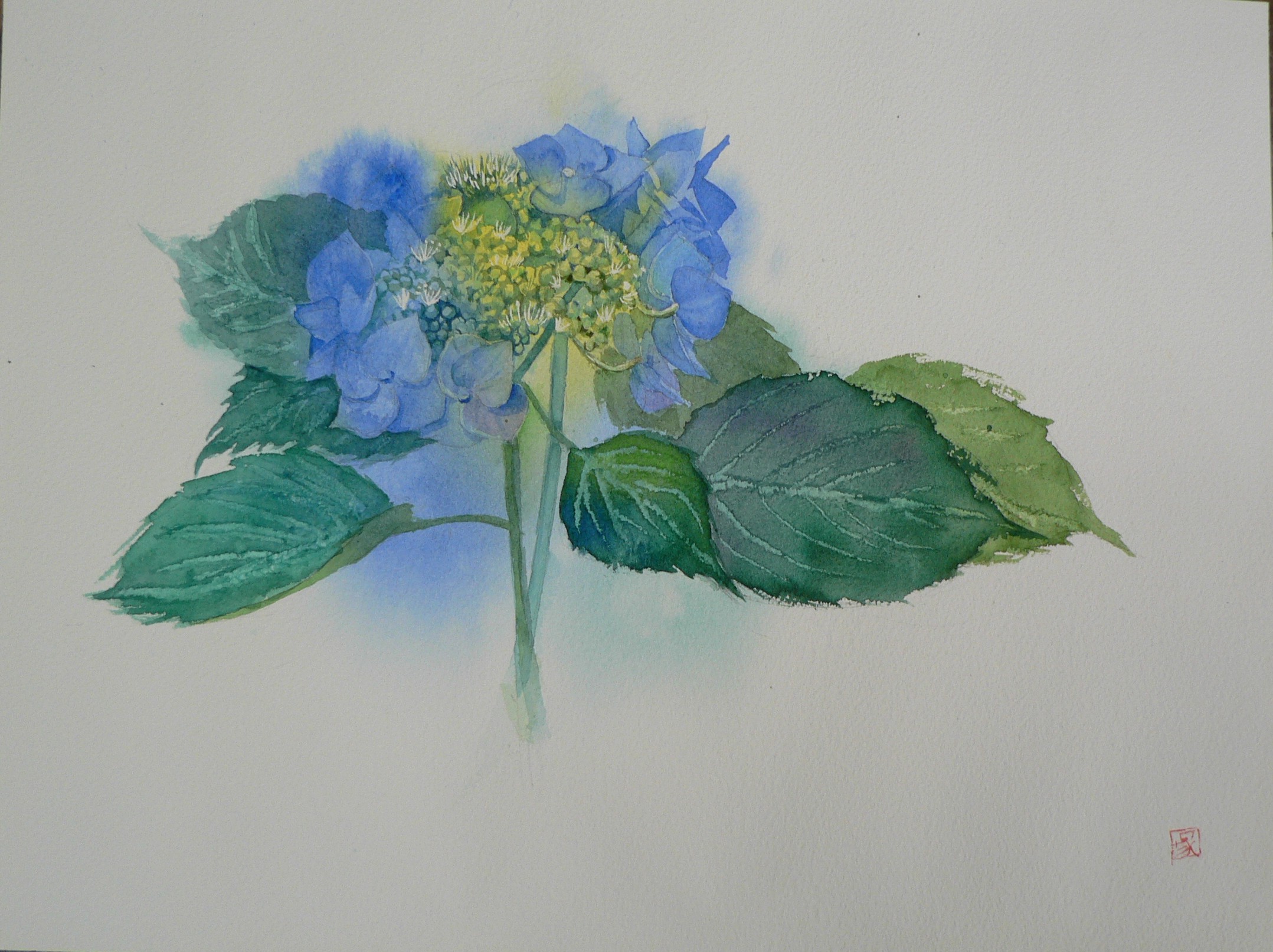 デッサンから彩色まで基礎を大切に 描きたい想いを形にする絵画教室 春の新講座 特別体験日3/27(金)