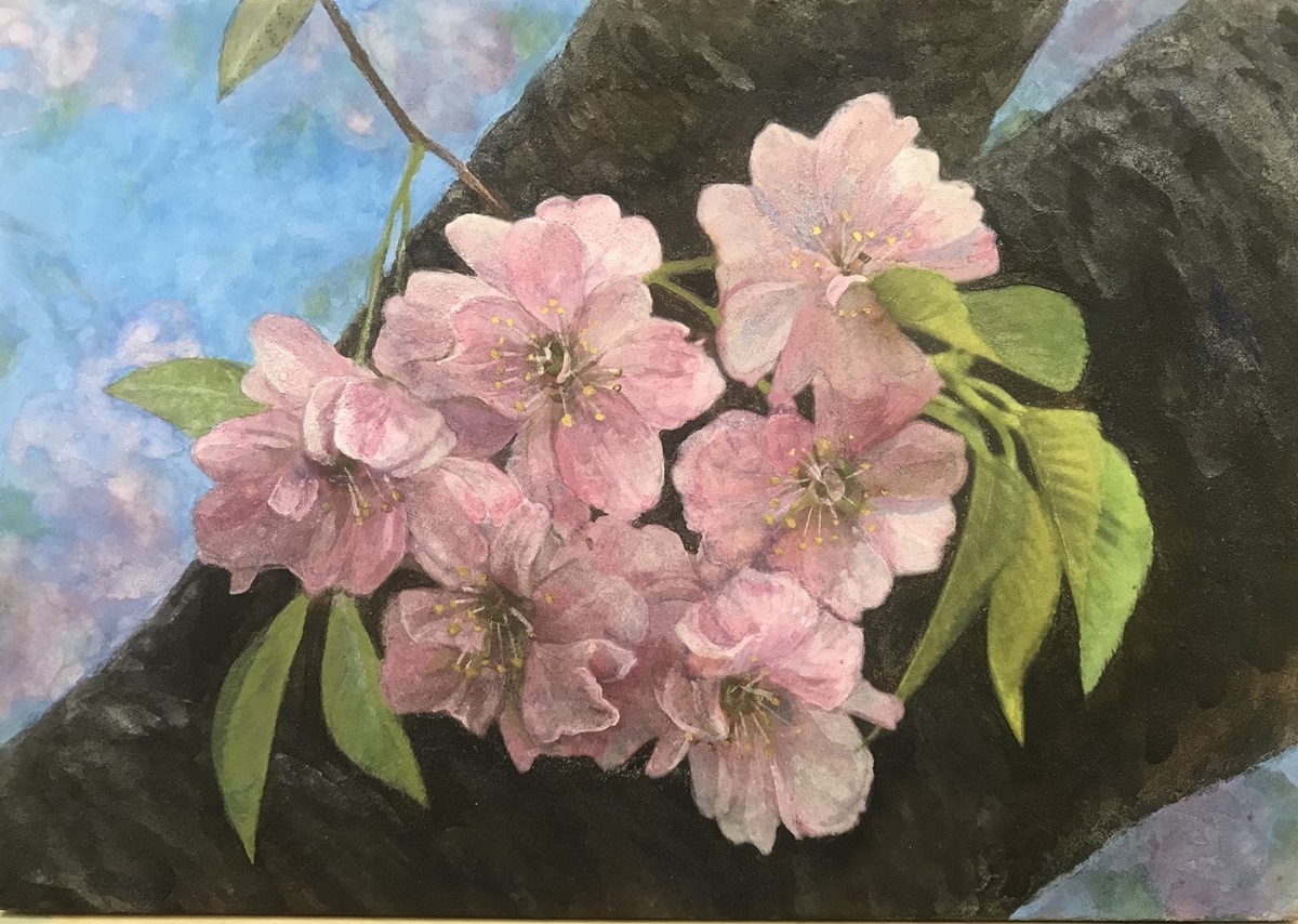 デッサンから始める 水彩・パステル・日本画