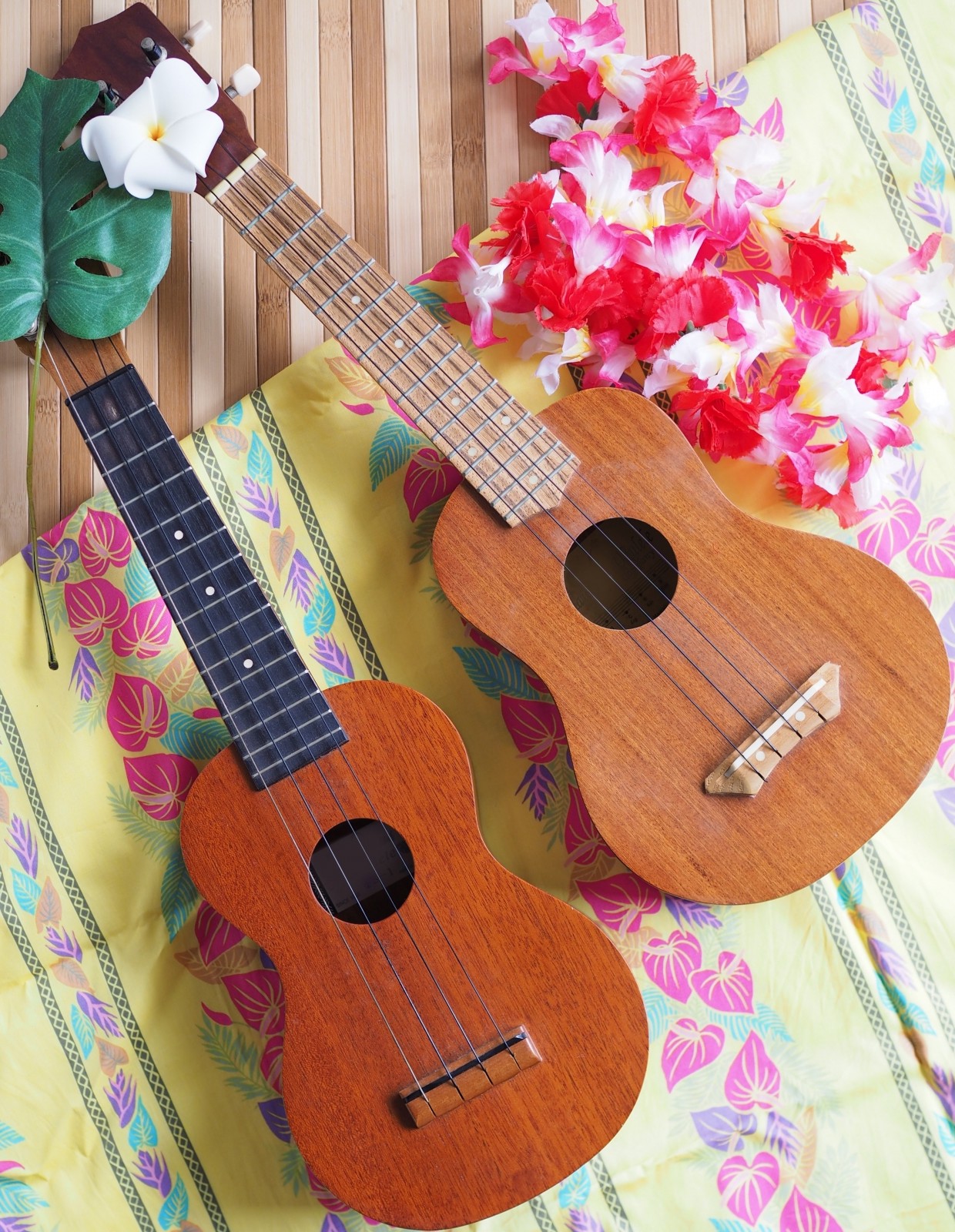 みんなで音色を奏でる ウクレレで歌おう 4月